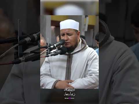 إحساس نادر في كل حرف من صوت الشيخ رضا سعد يجعل القلب يخشع