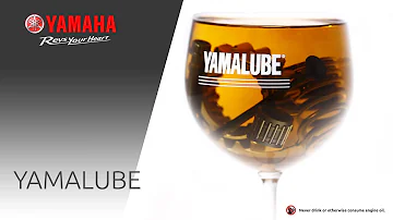 Jak se vyrábí slunečnicový olej?