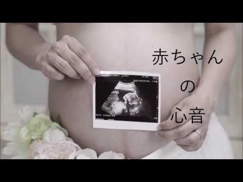 赤ちゃんの 心音 動画収録はスタジオエイメイ Youtube 赤ちゃんの 心音 動画収録はスタジオエイメイ Youtube