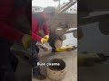 Bijon çıkarma • wheel nut removal
