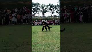 Pertunjukan Anjing Perang Dari Cawangan Serigala Program Madani Rakyat, Melaka