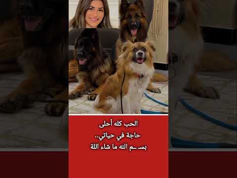 منة فضالي عن كلا بها أحلى حاجة في حياتي اكسبلور معلومات