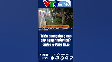 Triều cường dâng cao gây ngập nhiều tuyến đường ở Đồng Tháp | VTVWDB