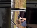 Quieter than a BB Gun?? HOW IS THIS POSSIBLE?!? #22lr #suppressed #shooting #gun #ruger #cci