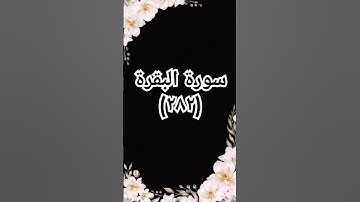 #sheikhmansouralsalimi #القرآن_الكريم #duet #تيك_توك #حالات_واتس #دويتو #سورة_البقرة #لايك #اكسبلور