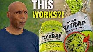 We Tested Home Depot's Best Bug Traps to Get Rid of Flies & Gnats