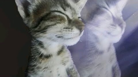 the hyperflip to j-core pipeline (osu!mania) 