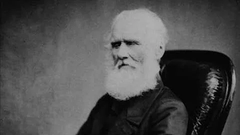 Turning Weakness Into Strength: The James Holman S...