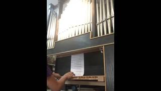 Homemade pipe organ Malaysia 自制管风琴