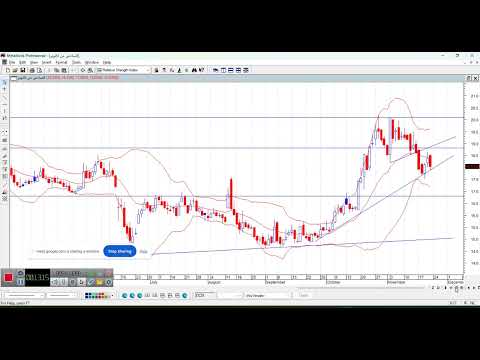 البورصة المصرية جروب توصيات 24 نوفمبر 2025