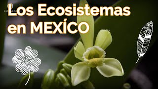 Ecosistemas de México