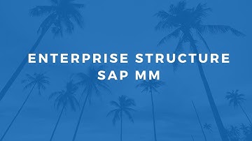 SAP MM - Enterprise Structure / Organization Structure Configuration - 2