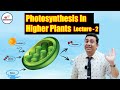 Photosynthesis in Higher Plants L-2 | Class 11 | Biomentors NEET | NEET 2021 | Dr. Geetendra Sir