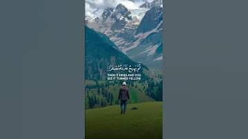 اعْلَمُوا أَنَّمَا الْحَيَاةُ الدُّنْيَا - بصوت القارئ رعد محمد الكردي حالات واتس اب🫀🥺🤍