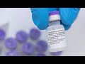 Immune interference – why even 'updated' vaccines could struggle to keep up with emerging coronavirus strains