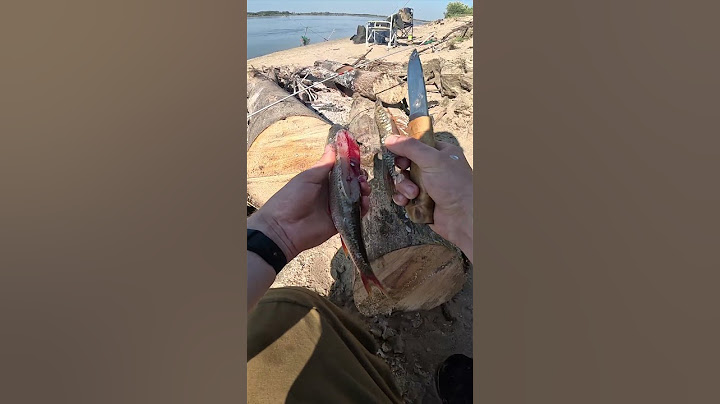 WORM SUBSTITUTE! SUPER BAIT, ALWAYS WORKS 100% #fishing #lakefishing #like #ZAKIDUHI