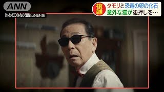 演じる声色にも注目・・・タモリと恐竜の卵の化石とネコ(2020年9月4日)