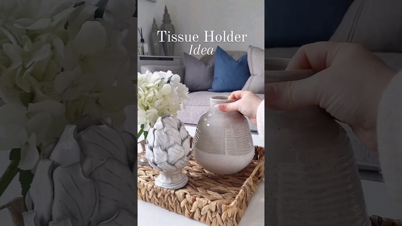 TISSUE HOLDER IDEA!! #cleanhome #asmrcleaning #livingroom #ideas #homeinspo #decor #tissue #new