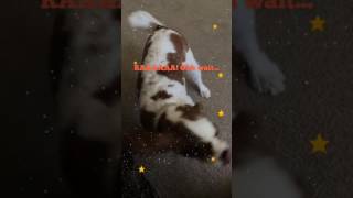 Flipagram - October 29, 2016