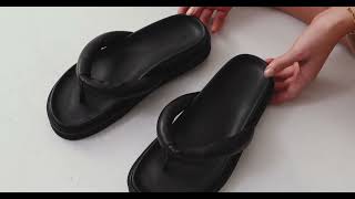 The PHOEBE Slide - SS24 Luminaries - Chaos & Harmony