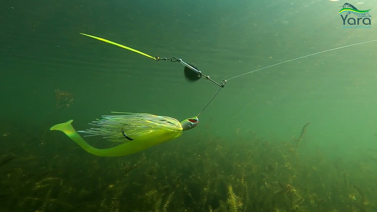 Destroyer] [Mad Dog] [Killer Jig] [camisas de pesca] [Devassa]