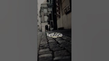 سورة العنكبوت : وَمَا هَٰذِهِ الْحَيَاةُ الدُّنْيَا إِلَّا لَهْوٌ وَلَعِبٌ ۚ #القرآن_الكريم #المصحف