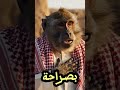 كم لك رمضان بعيد عن اهلك جاوب بصراحة Funny كوميديات قرود الطايف تشوف منهم العجايب ضحك اكسبلور