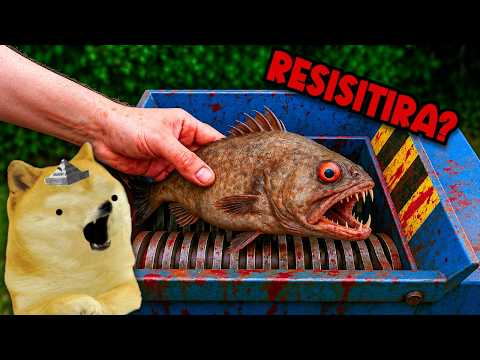 ANIMALS and OBJECTS vs INDUSTRIAL SHREDDER💥 - Games with cheems