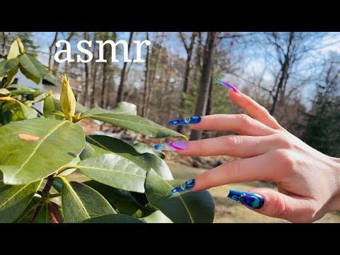 ASMR! Sunny Morning Tapping ( Outdoors) Long Nails ☀️