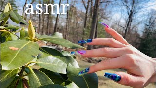 ASMR! Sunny Morning Tapping ( Outdoors) Long Nails ☀️