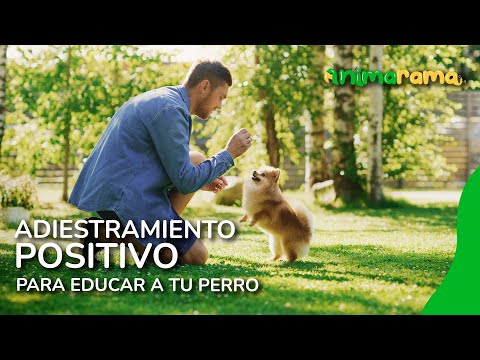 ¿Cómo educar a