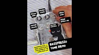 Basspresso – Ampeg-Inspired Bass Preamp Cat Pedal — TONECAT
