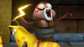 larva super powers cartoon movie cartoons for children larva cartoon larva official