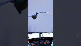 Rate my landing 👨‍✈️👩‍✈️🫡