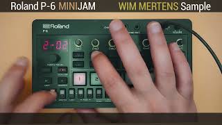 Roland P-6 Mini Jam Wim Mertens Samples