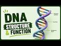 DNA Structure &amp; Function I Chromatin Organization &amp; Types I Cell &amp; Molecular Biology