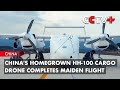 Chinas homegrown hh100 cargo drone completes maiden flight