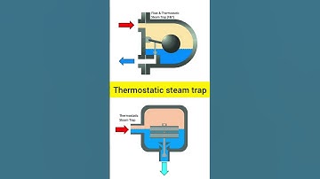 How to work thermostatic steam trap: #shorts