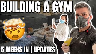 OPENING A GYM | Ep 2 Time Fly&#39;s When You&#39;re Having Fun | UPDATES