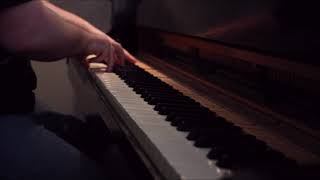 Dearly Beloved - New piano hammers