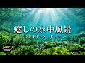 4K + 自然環境水中音 / 睡眠のためのASMR 1時間