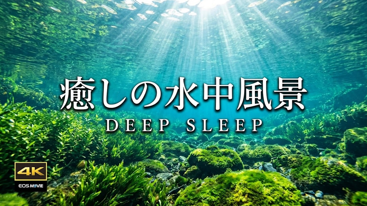 4K + 自然環境水中音 / 睡眠のためのASMR 1時間