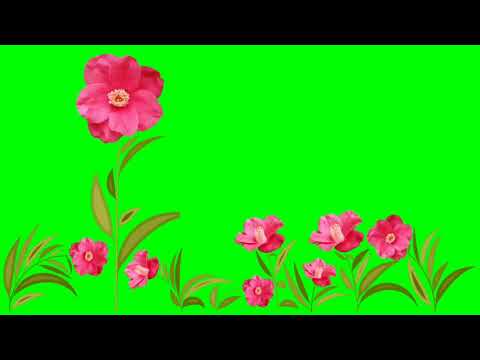 خلفيات ورود وزخارف بخلفية خضراء للمونتاج