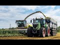 Silage 2021 | ClaasJaguar 990, JohnDeere 6M & 7R, Fendt 939 & 933 & 930, VisiniTetra & Bossini 🔝