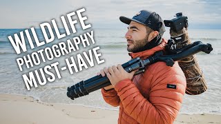 Gimbal Heads: A Wildlife Photography MUST-HAVE (And How to Use It)