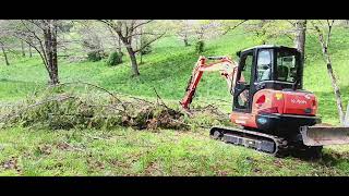 Skilled Operator Uses Kubota KX04004 Compact Excavator to Move Large Fallen Pine Tree Episode 1