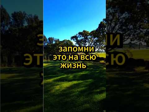 Запомни это на всю жизнь. #мышление #позитивноемышление #психологияличности #motivation