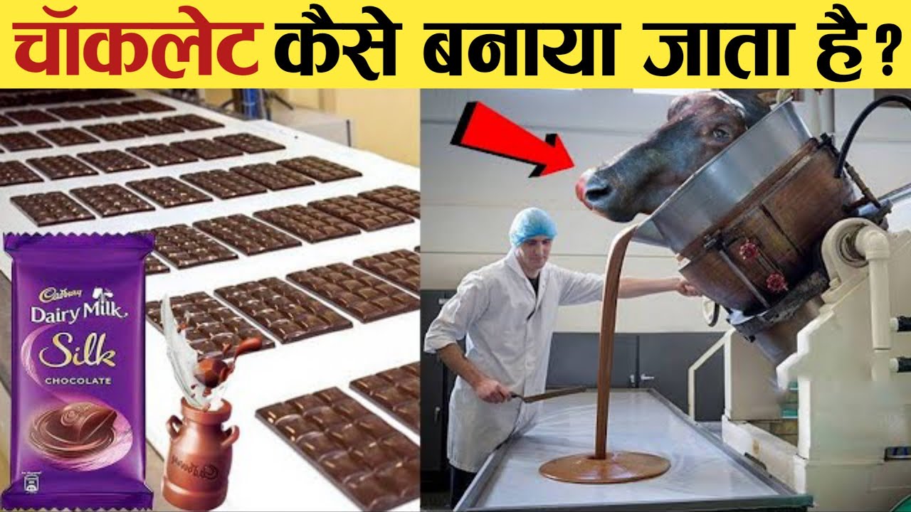ऐसे फैक्ट्री में बनती है डेरी मिल्क चॉकलेट Chocolate kaise banta hai
