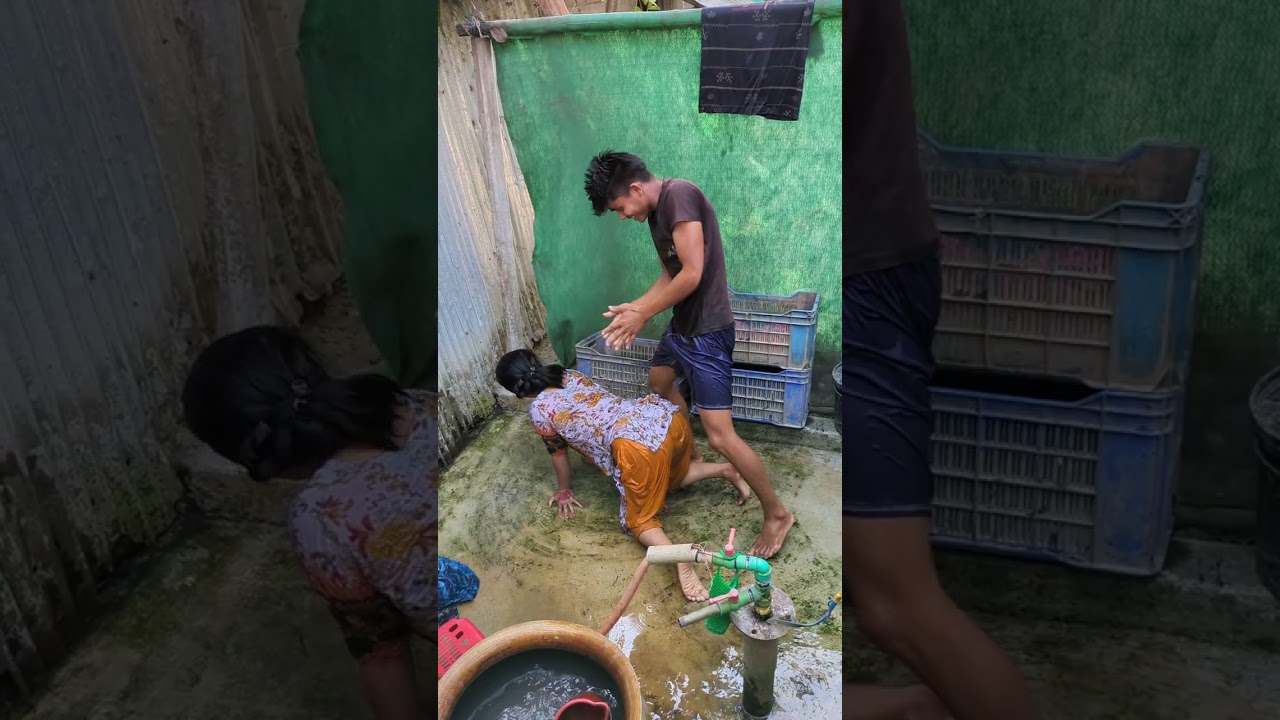 🌺🐷🐷🤩🐽🌺