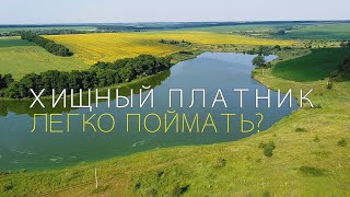 НА ПЛАТНИКЕ легко ЛОВИТЬ? СЕЙЧАС ПРОВЕРИМ!!!